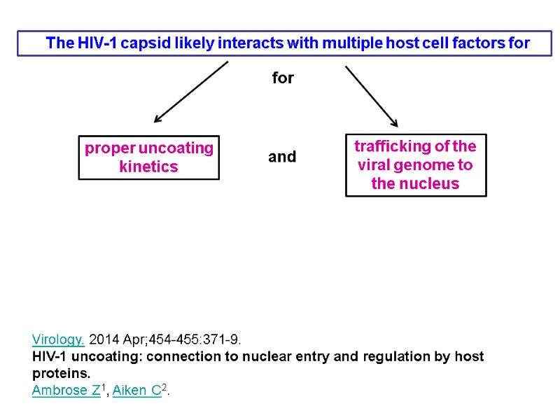 The HIV-1 capsid likely interacts with multiple host cell factors for trafficking of the